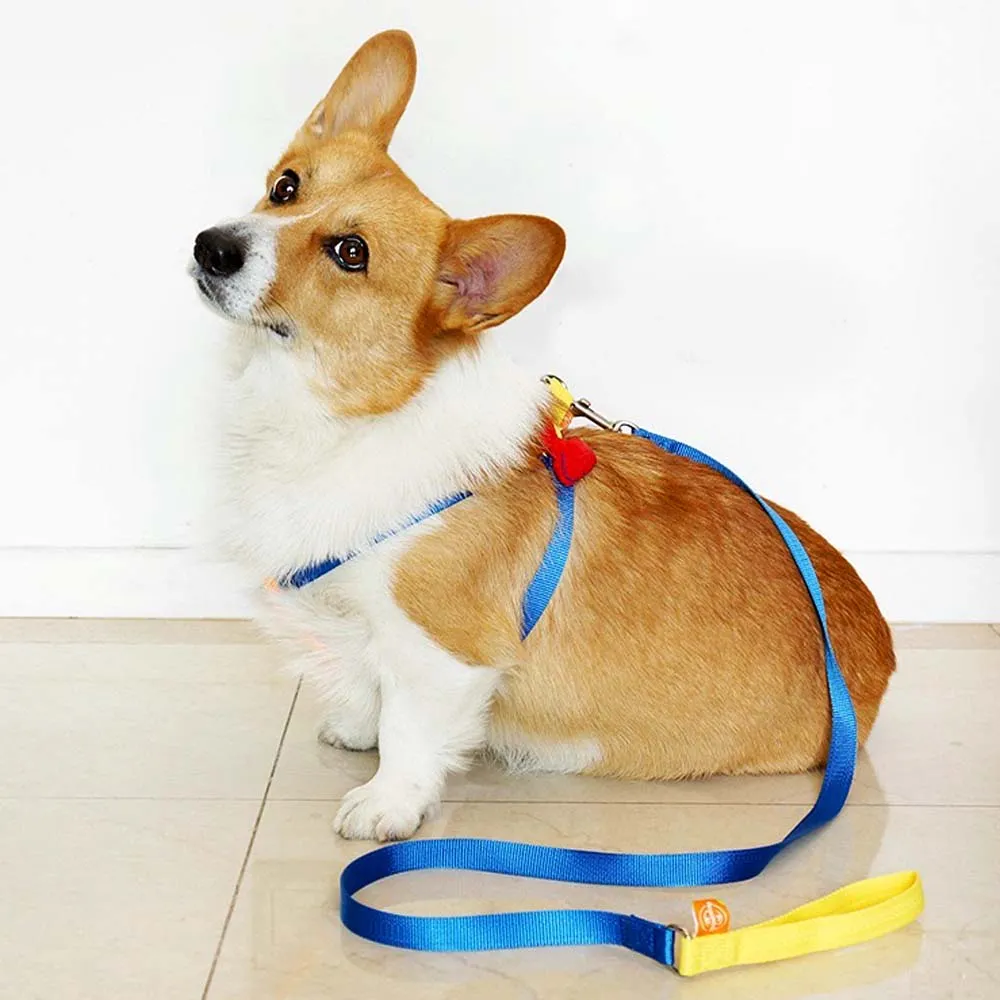 Cartoon Bowtie Harness Walk Kit with Leash for Dogs and Cats