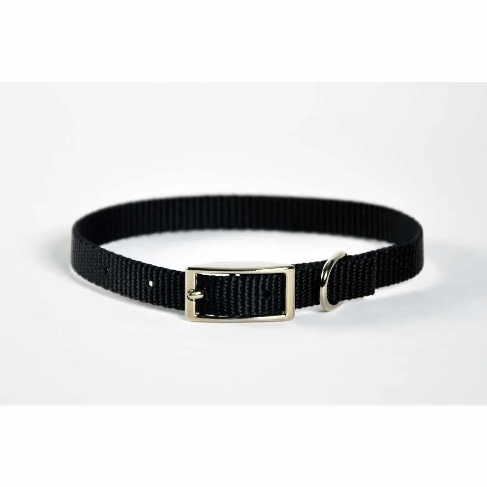 Dog Collar Skinny - 10" Blue