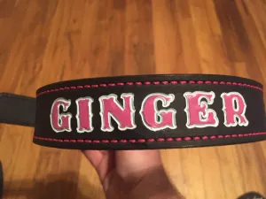 Dog Collar