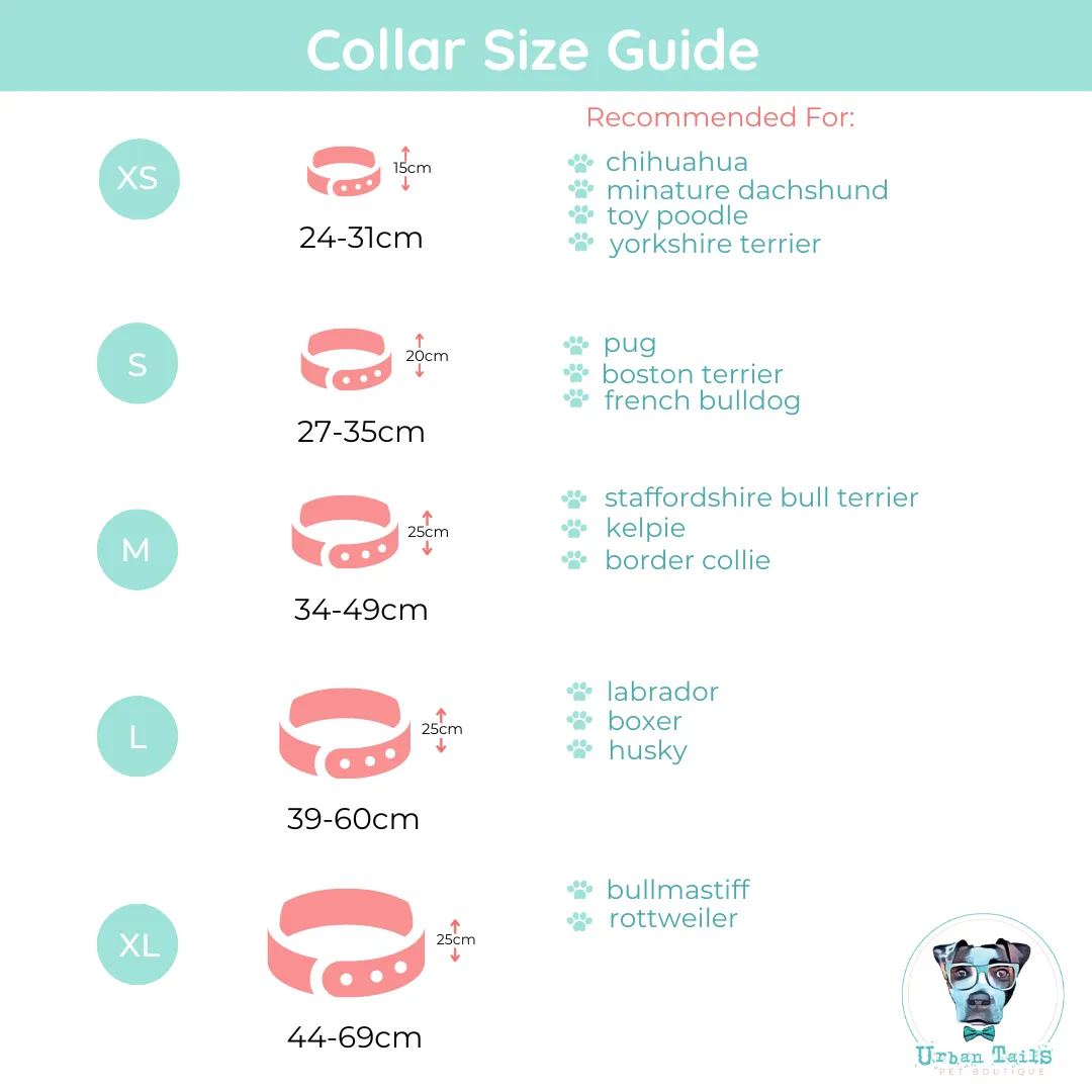 Floral Garden Dog Collar