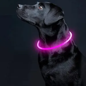 Glowing Dog Collar