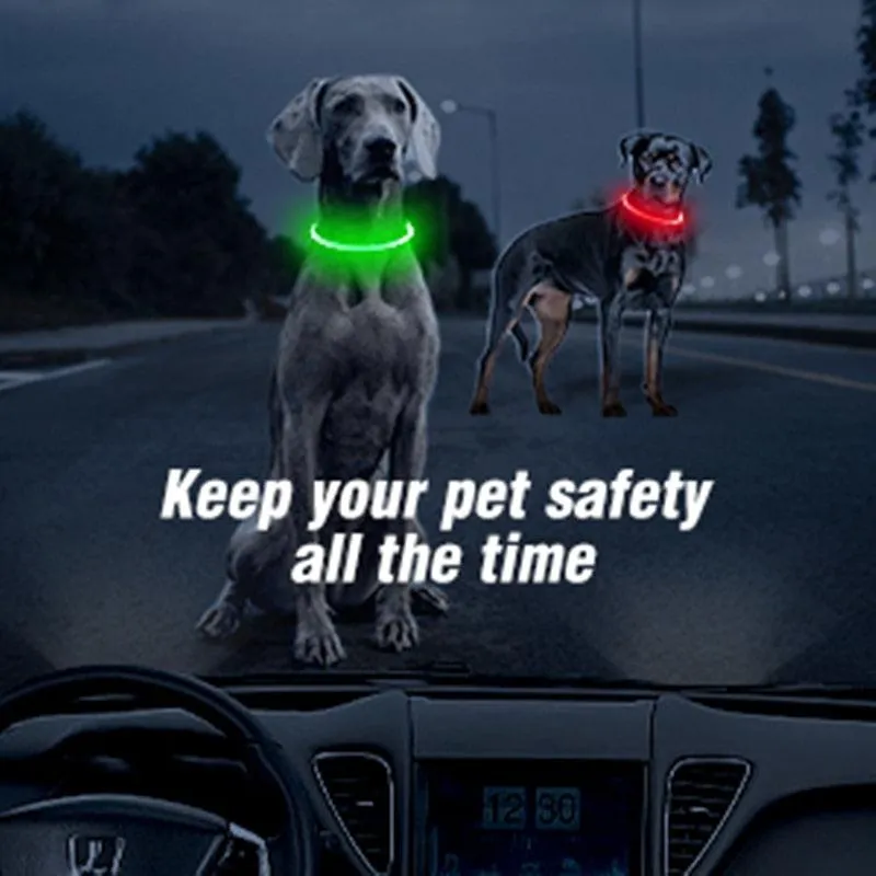 Glowing Dog Collar