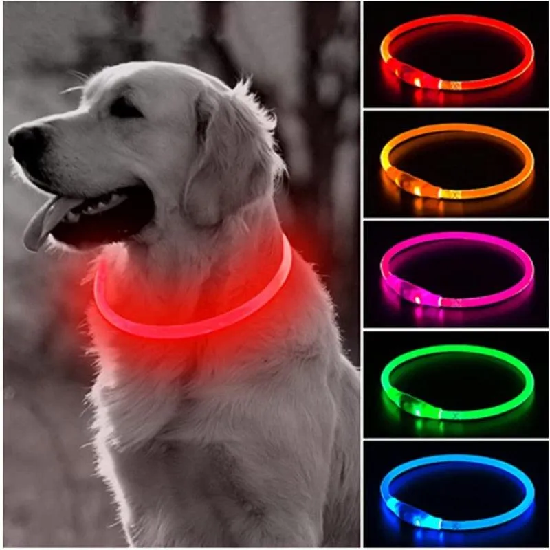 Glowing Dog Collar