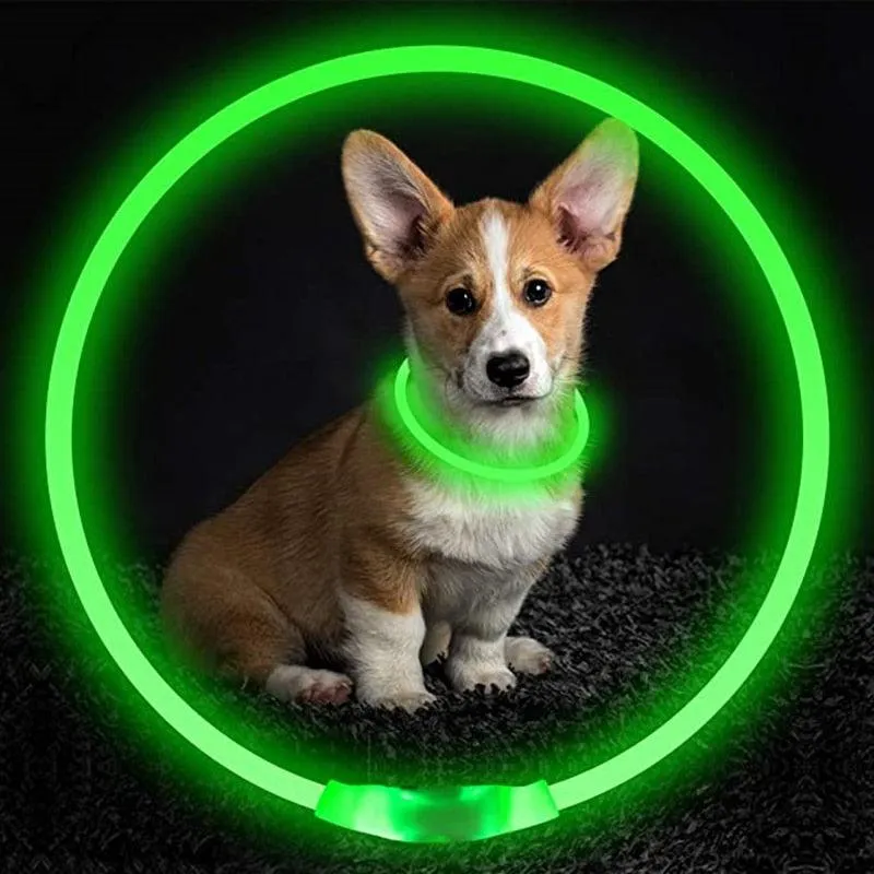 Glowing Dog Collar