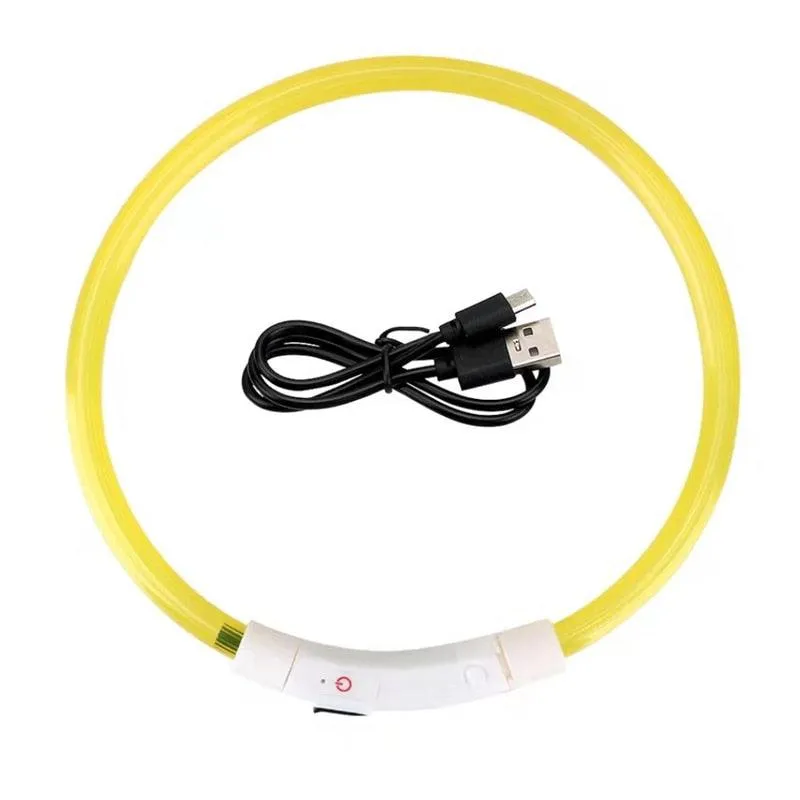 Glowing Dog Collar