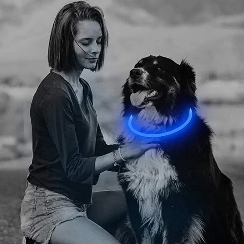 Glowing Dog Collar