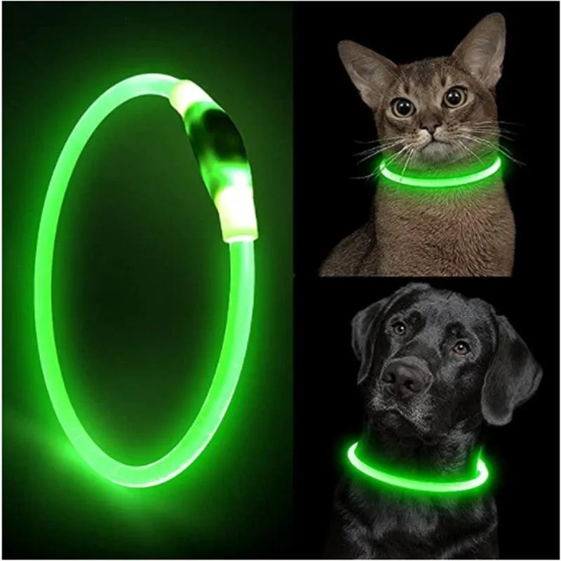 Glowing Dog Collar