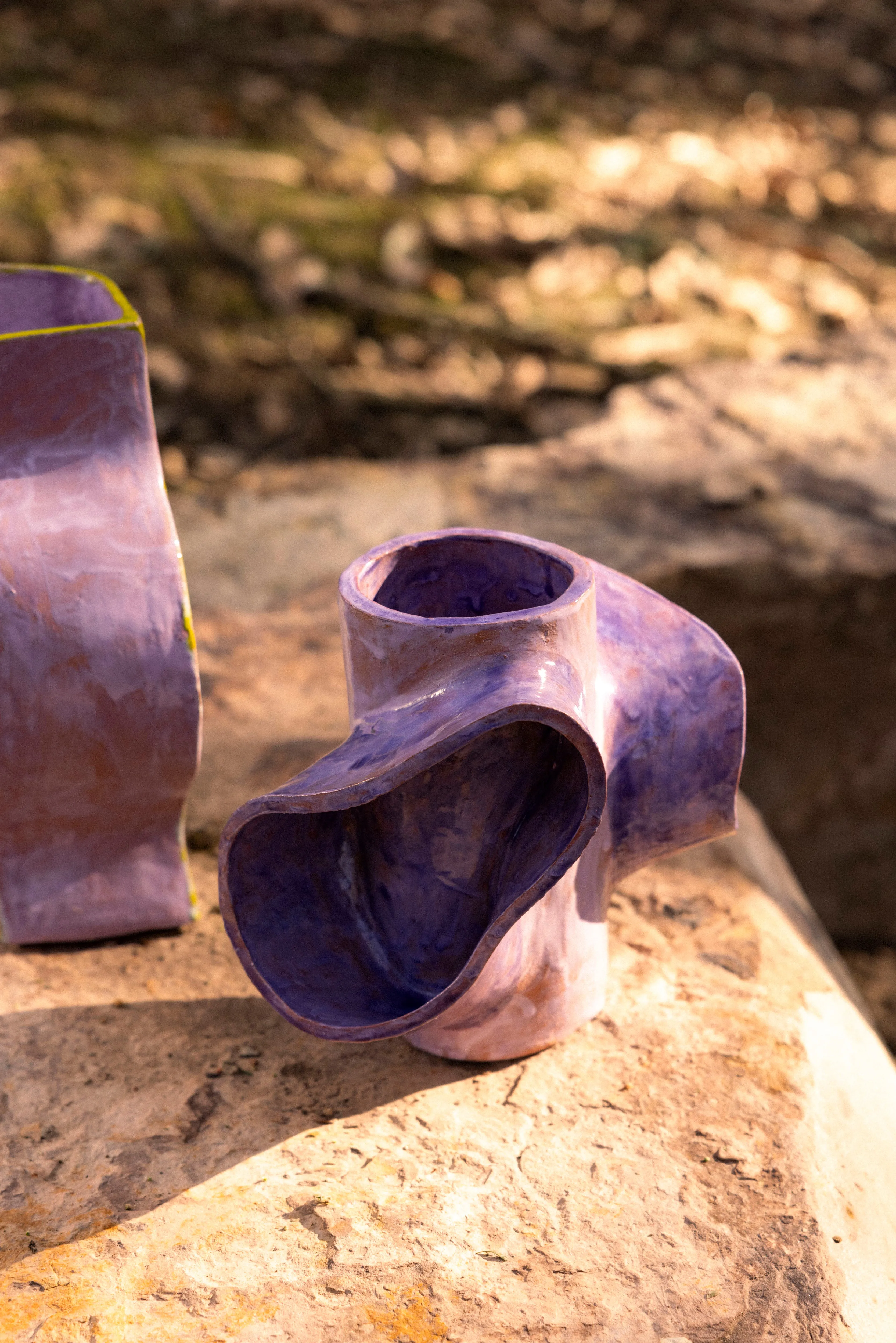 Iris Vessel