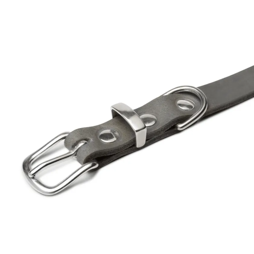 "Butter" Dog Collar - Timeless Grey