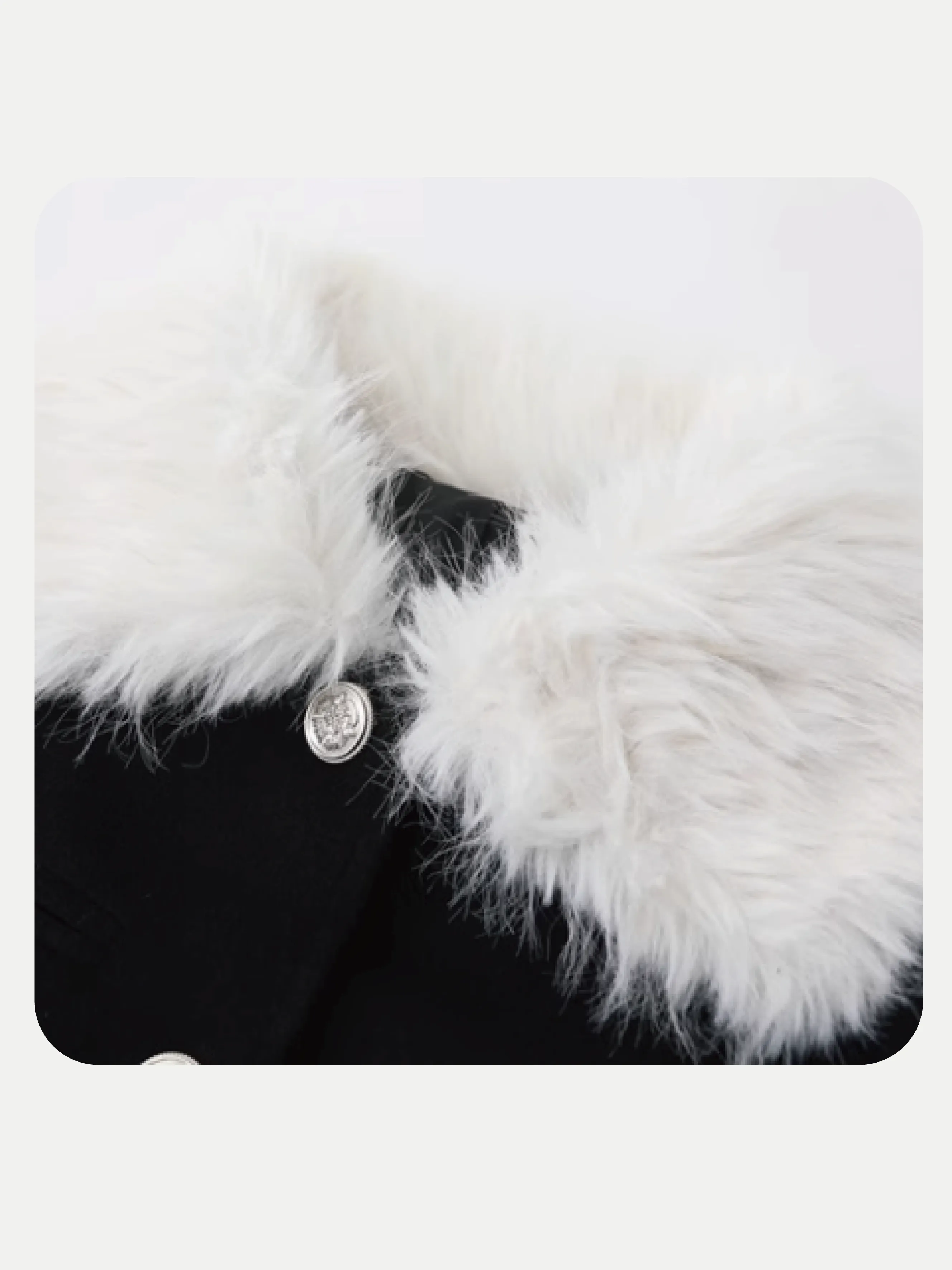 Waisted Fur Collar Coat